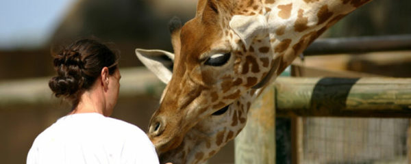 soigneur animalier