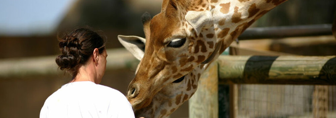 soigneur animalier