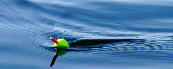 peche un poisson avec un leurre de surface