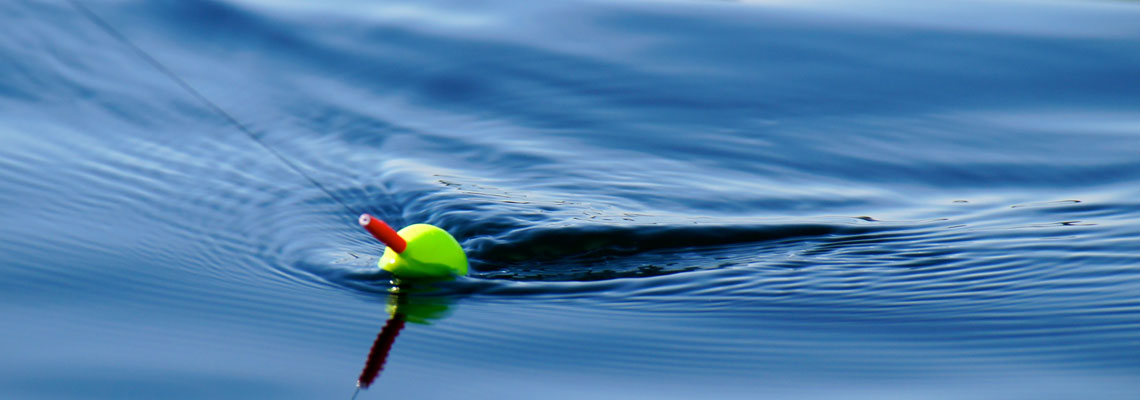 peche un poisson avec un leurre de surface